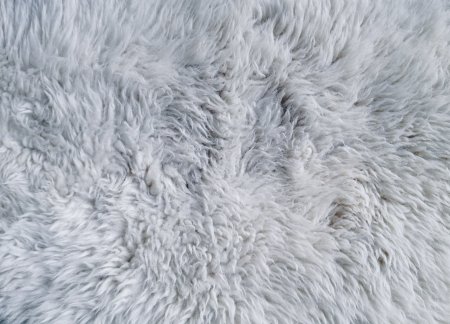 Ковер Esprit Shaggy ESP-3303-13