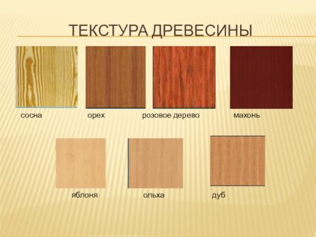 Ольха структура древесины
