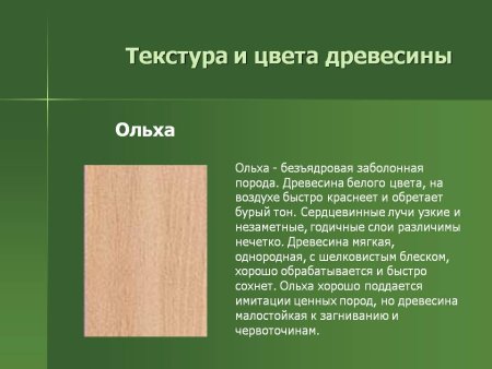 Ольха порода древесины