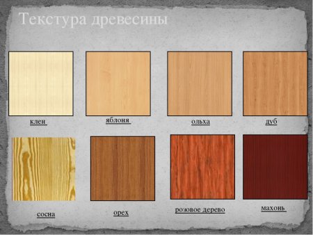 Морилка клен цвет