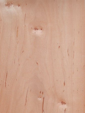 Текстура дерева ольхи (44 фото)
