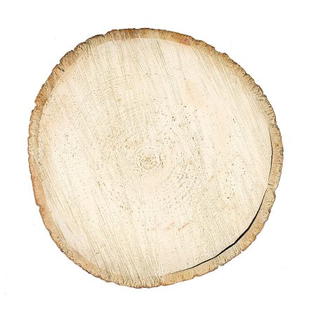 Текстура древесины липы (38 фото)