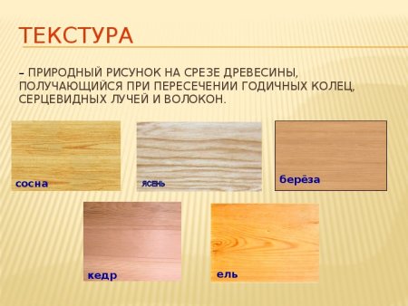 Кедр и сосна отличие древесины