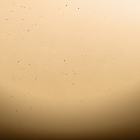 Зеркало графит для про100