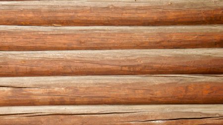 Текстура бревна