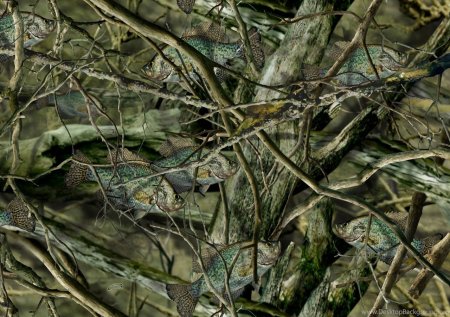 Ткань Оксфорд, камуфляжная ткань Realtree Max-5