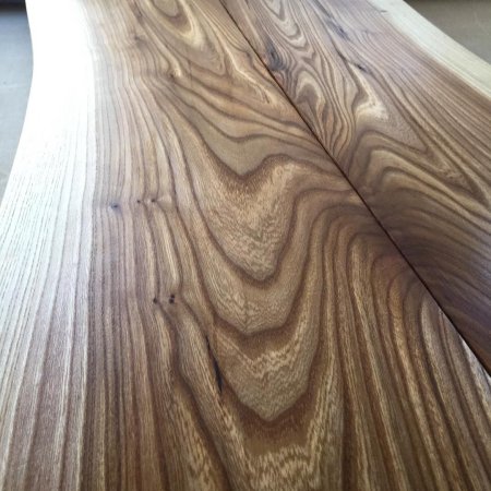 Текстура древесины вяза (48 фото)