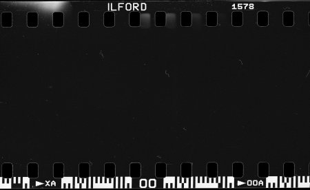 Скан пленочного зерна Ilford Delta 400pr