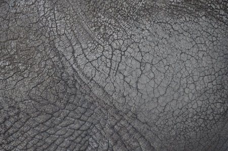 Skin texture Zbrush