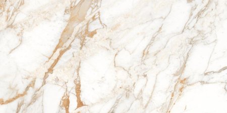 Calacatta Oro 120x60