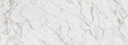 Керамогранит Laminam Bianco Statuario Venato 3000x1000