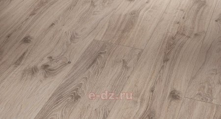 Parador дуб Сильвер 1518079