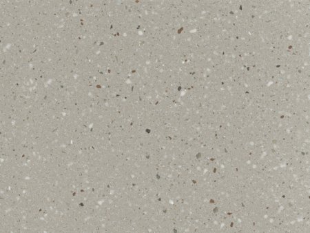 Staron sg428 sanded Goose