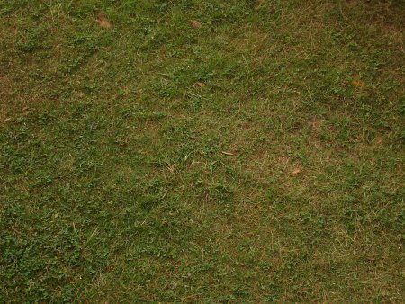 Земля текстура бесшовная для 3d Max