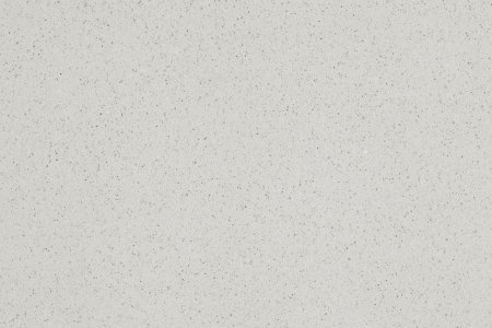 Staron sanded Goose