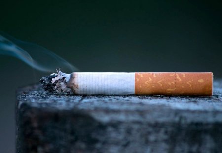 Life табачные изделия