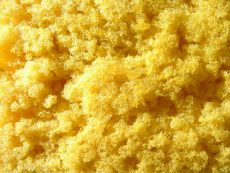 Губка texture