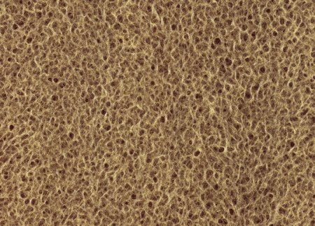 Губка texture
