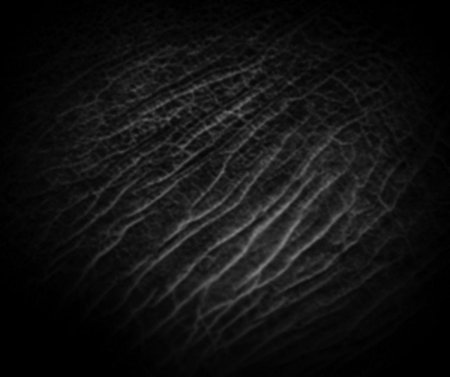 Кисть кожи для Zbrush
