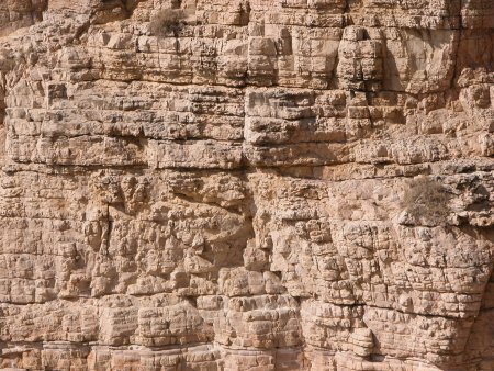 Скальные породы