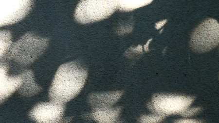 Тени на стене фактура