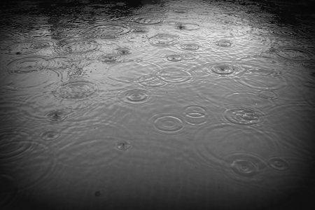 Лужа воды