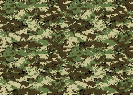 Woodland Camouflage 4r