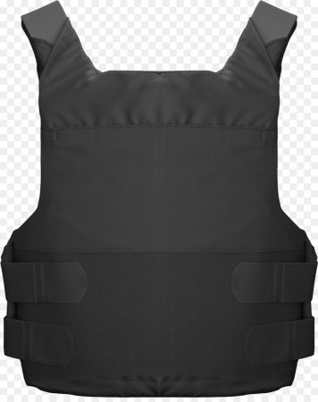 Жилет Plate Carrier Vest