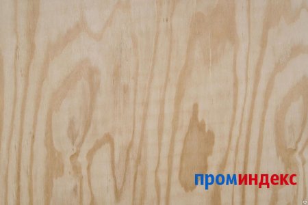 Шпон березы