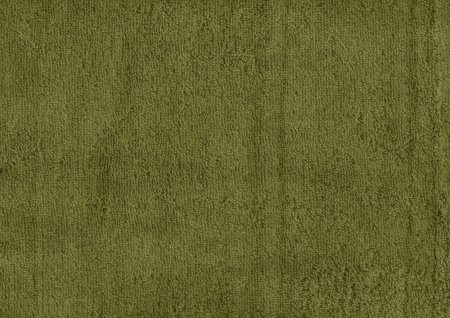 Olive Green 3119