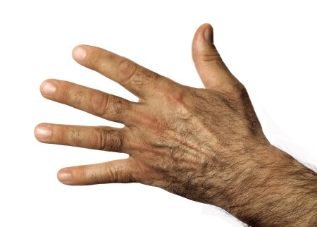 Текстура руки человека (42 фото)