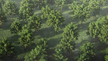 3ds Max 2d деревья