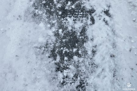 Снег текстура