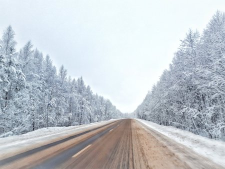 Заснеженная дорога