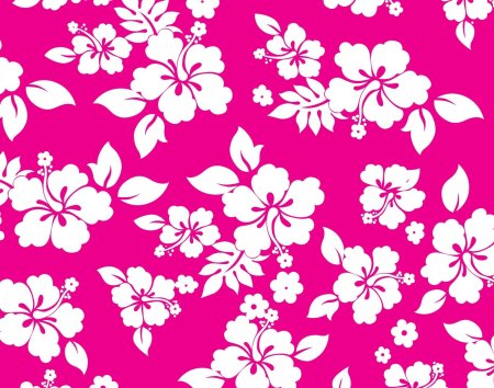 Участницы Hawaiian Tropic