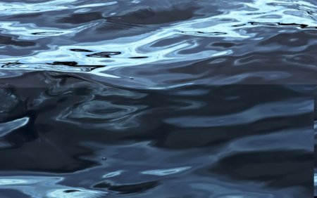 Пруд с темной водой