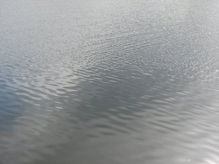 Серая вода