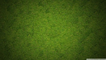 Текстура травы сверху (46 фото)