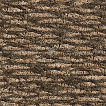 Palm Bark texture seamless