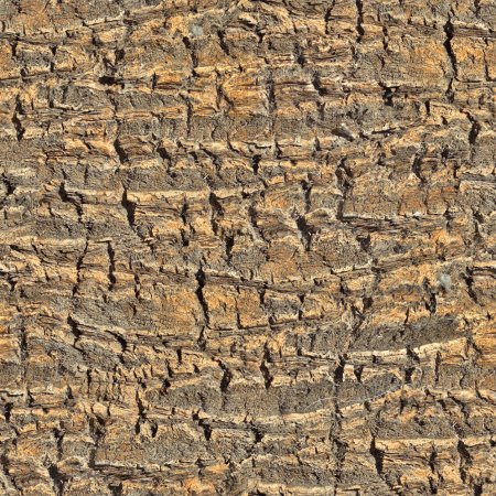 Bark texture бесшовная