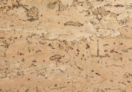 Пробковый панели стеновые Wicanders artwall