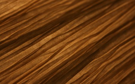 Браун Вуд (Brown Wood)
