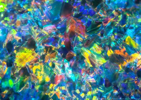 Опал под микроскопом