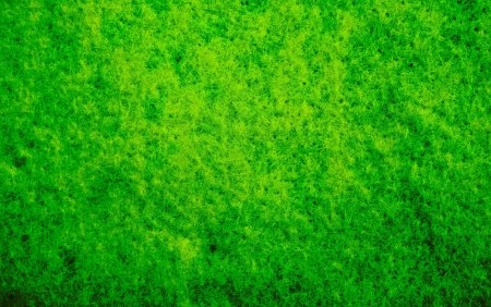 Текстура зеленого мха (43 фото)
