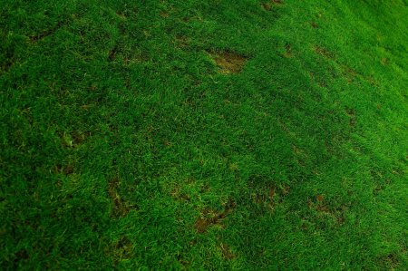 Текстура грунта бесшовная 4k