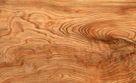 Карагач фактура древесины