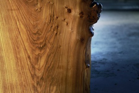Текстура древесины карагач (49 фото)