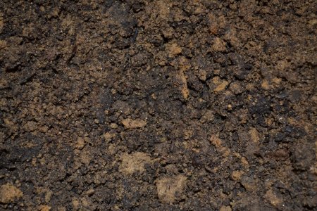 Soil грунт