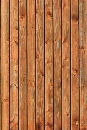 Текстура доски