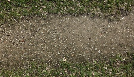 Текстура тропинки